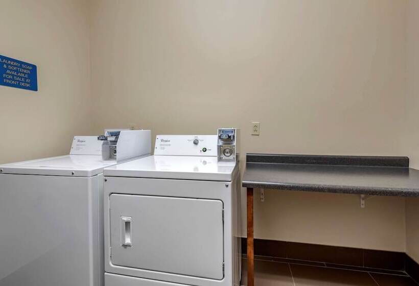 בית מלון כפרי Comfort Suites Auburn Near I69