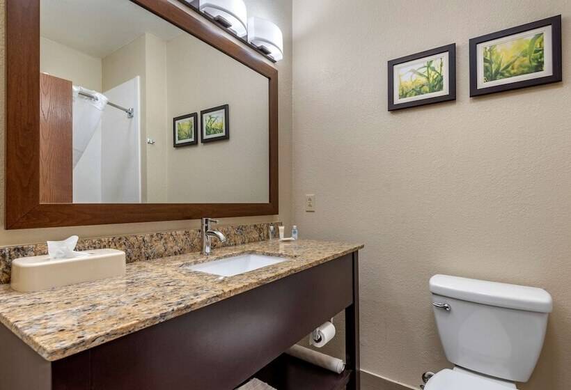 هتل Comfort Suites Auburn Near I69