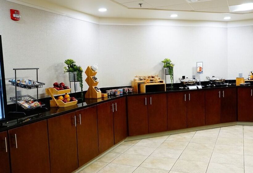 هتل Fairfield Inn & Suites By Marriott Denver Aurora/parker
