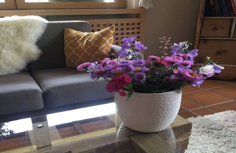 هتل Fedaia Joy B&b