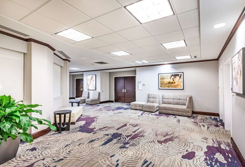 فندق Hilton Garden Inn Aiken
