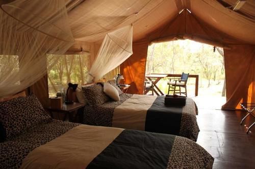 فندق Jabiru Safari Lodge