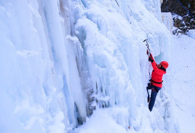 هتل Staybridge Suites Hamilton Downtown, An Ihg