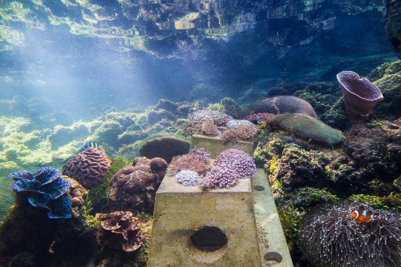 Hotel The Andaman, A Luxury Collection Resort, Langkawi