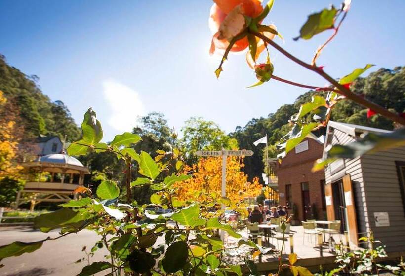 酒店 Walhallas Star