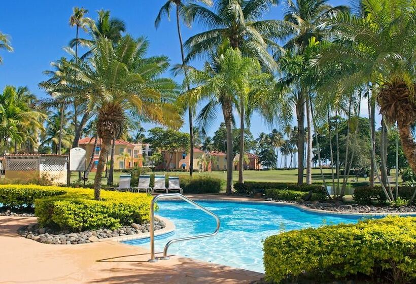 Palm View