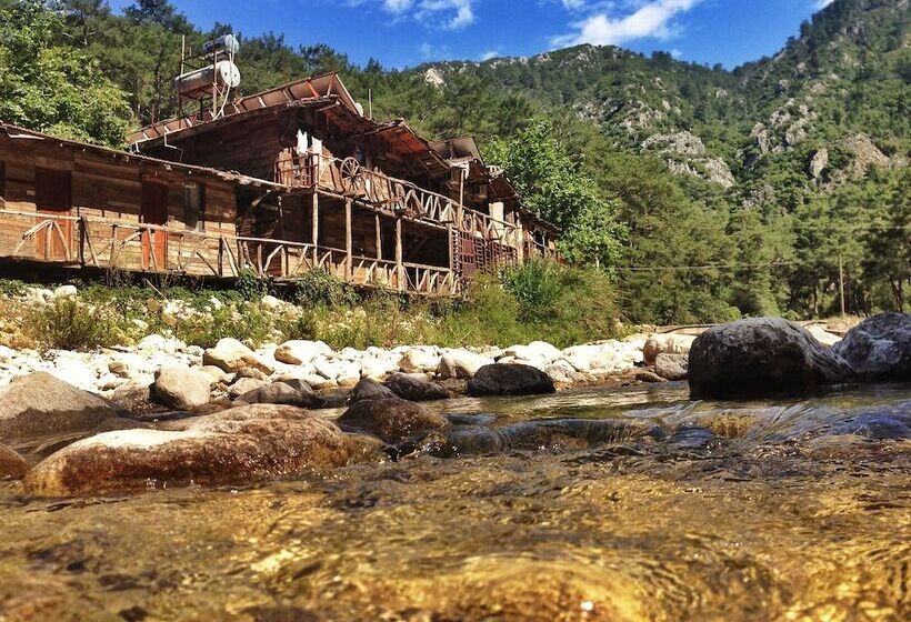 هاستل Kadir S Top Tree Houses