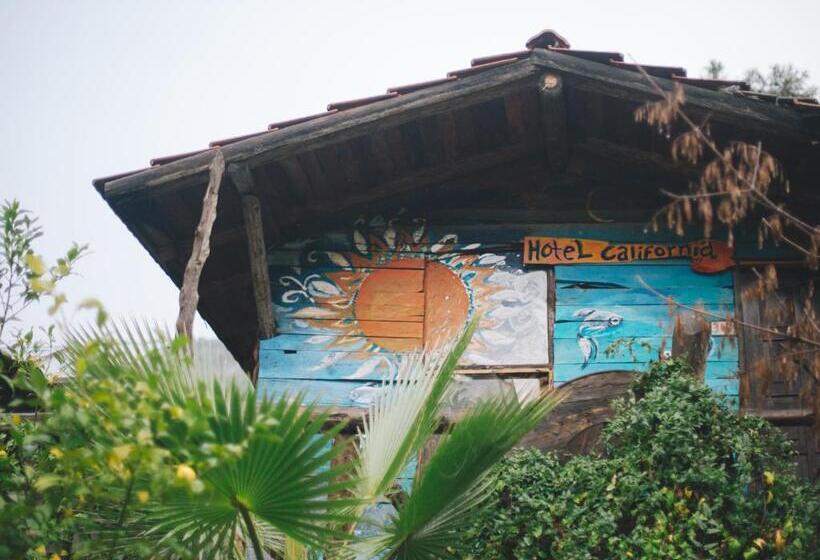 هاستل Kadir S Top Tree Houses