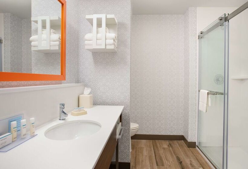 Hampton Inn St. Louiscolumbia