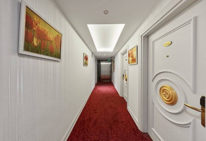 Fotos del hotel Albinas  Old City:  13