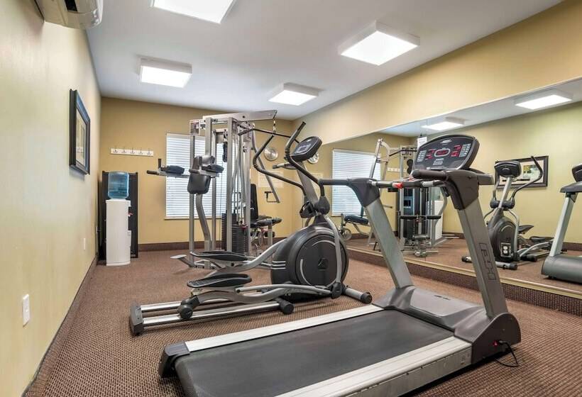 فندق Best Western Plus Chalmette