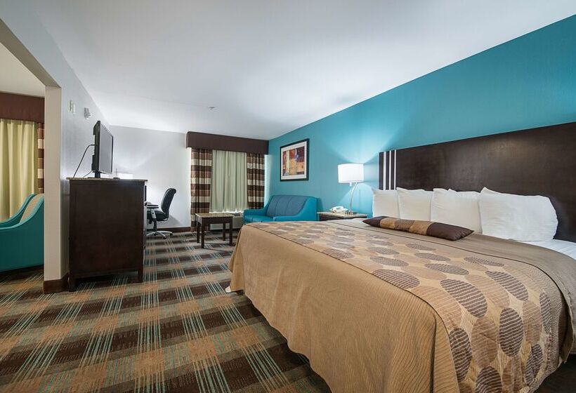 בית מלון כפרי Best Western Plus Deridder Inn & Suites