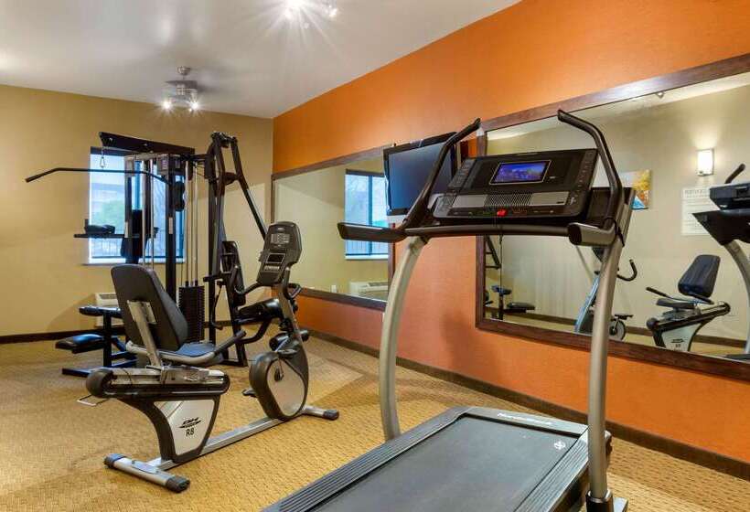 هتل Comfort Inn & Suites