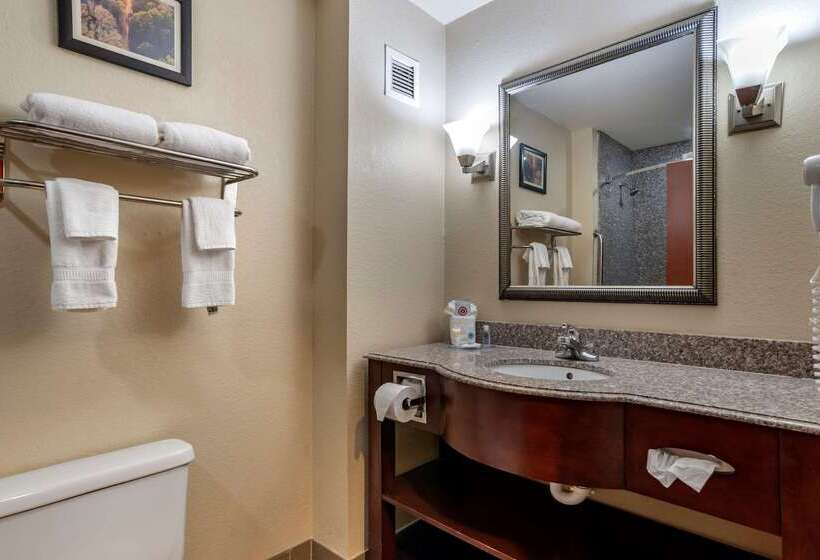 هتل Comfort Inn & Suites