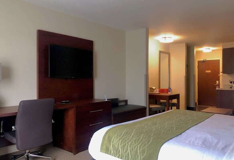 هتل Comfort Inn & Suites