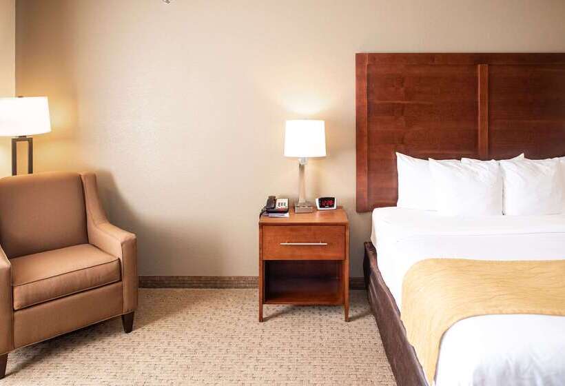 هتل Comfort Inn & Suites