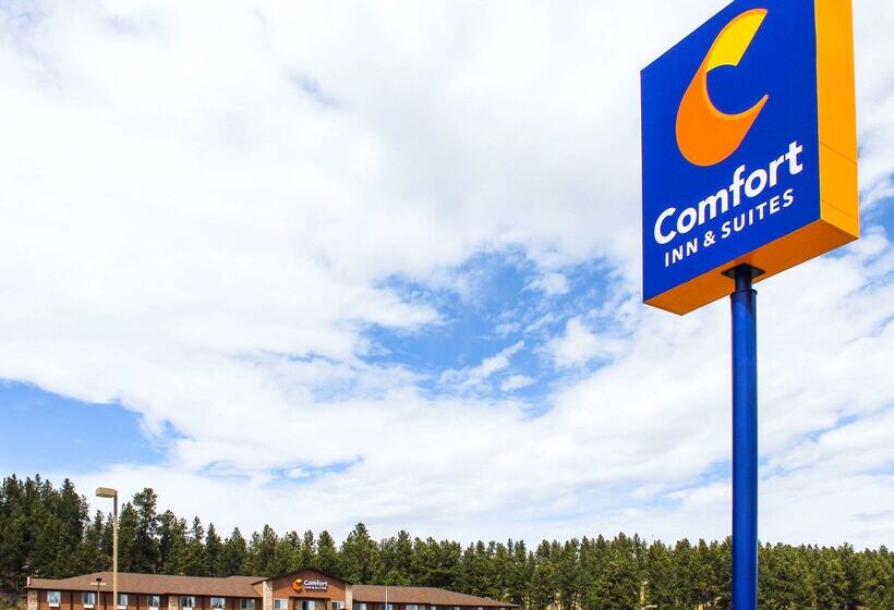 Hotel Comfort Inn & Suites