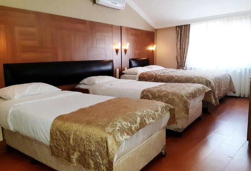 Fotos del hotel Dongyang:  14