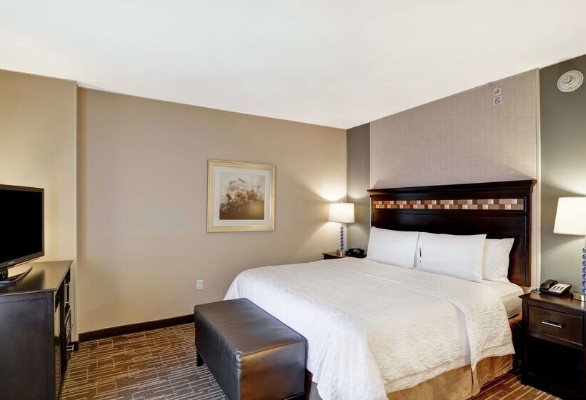 هتل Hampton Inn & Suites Denver/airportgateway Park