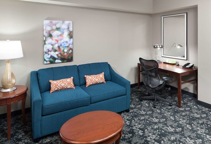 هتل Hilton Garden Inn Frisco
