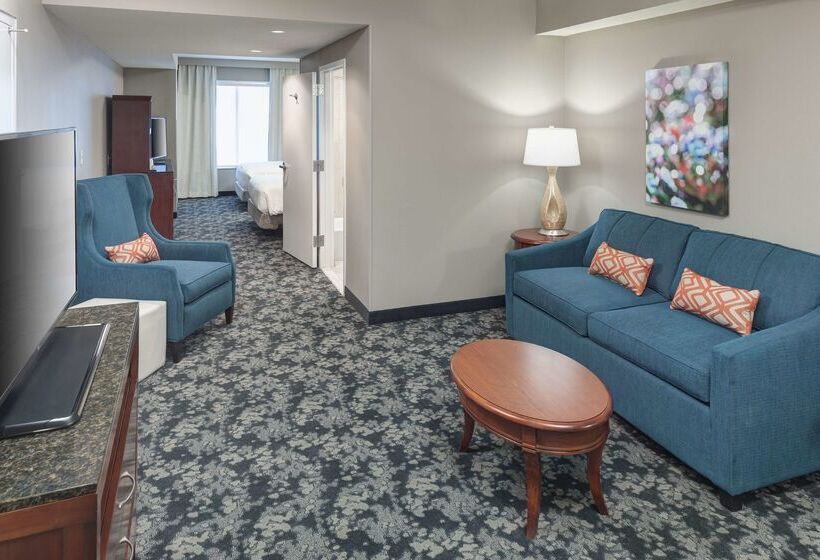 هتل Hilton Garden Inn Frisco