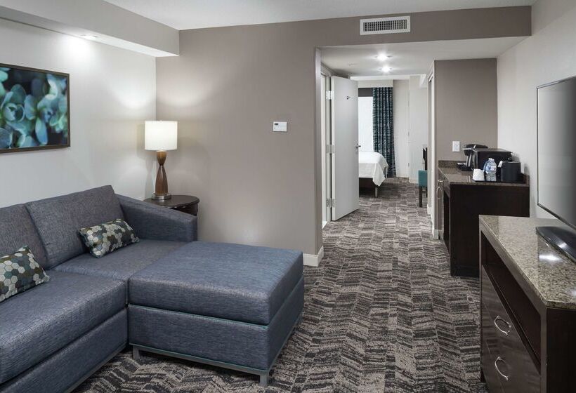 هتل Hilton Garden Inn Dothan