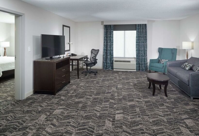 هتل Hilton Garden Inn Dothan