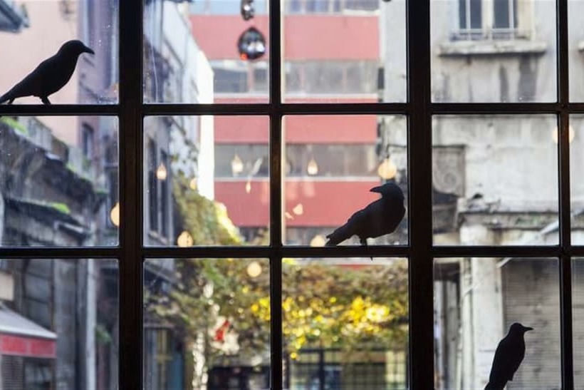 Fotos del hotel Sub Karaköy  Special Class:  39