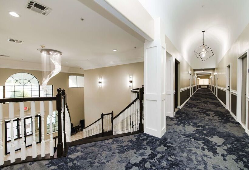 فندق Surestay Studio By Best Western Conroe Downtown