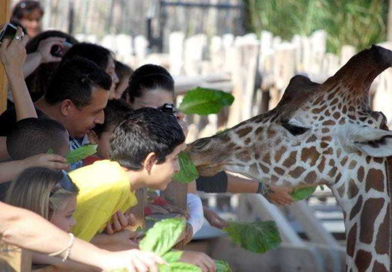 בית מלון כפרי Towneplace Suites Dallas Desoto