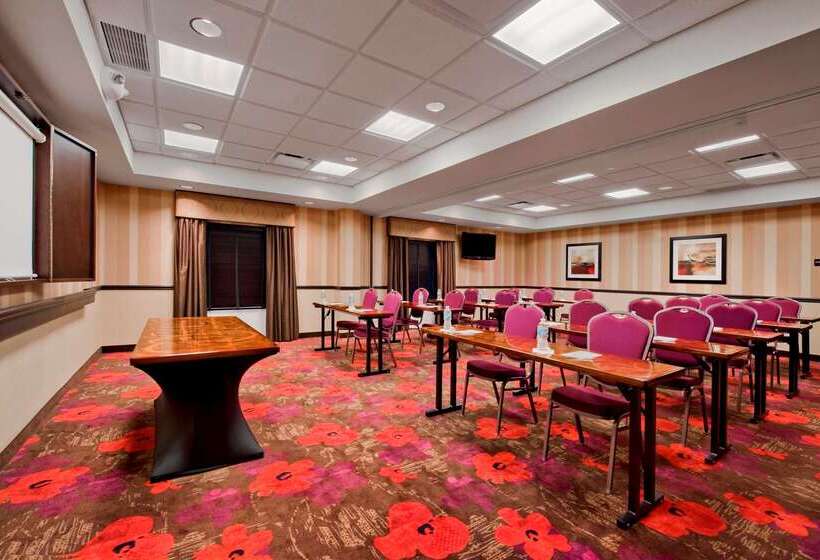 Hampton Inn And Suites Detroit Airport Romulus