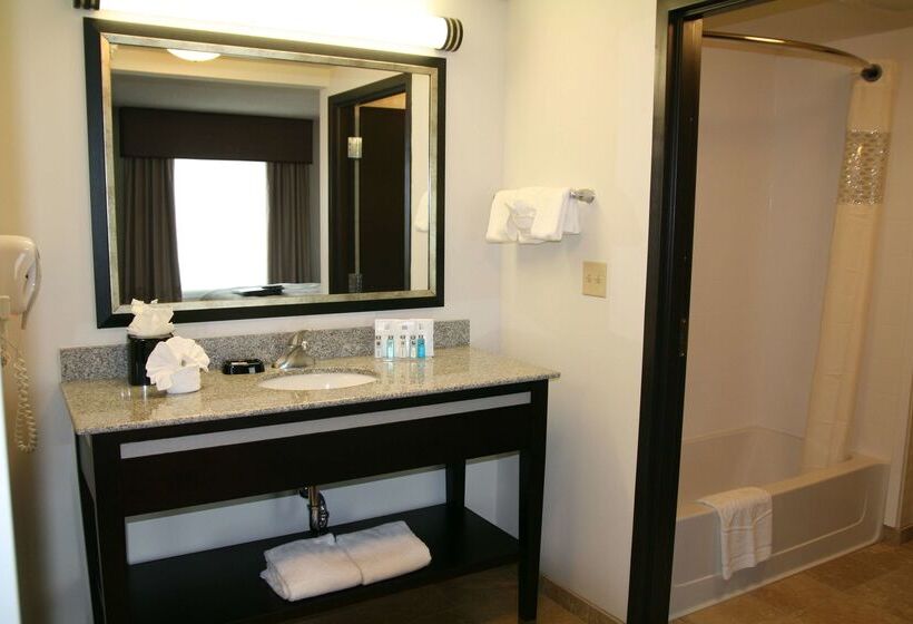 Hampton Inn And Suites Detroit Airport Romulus