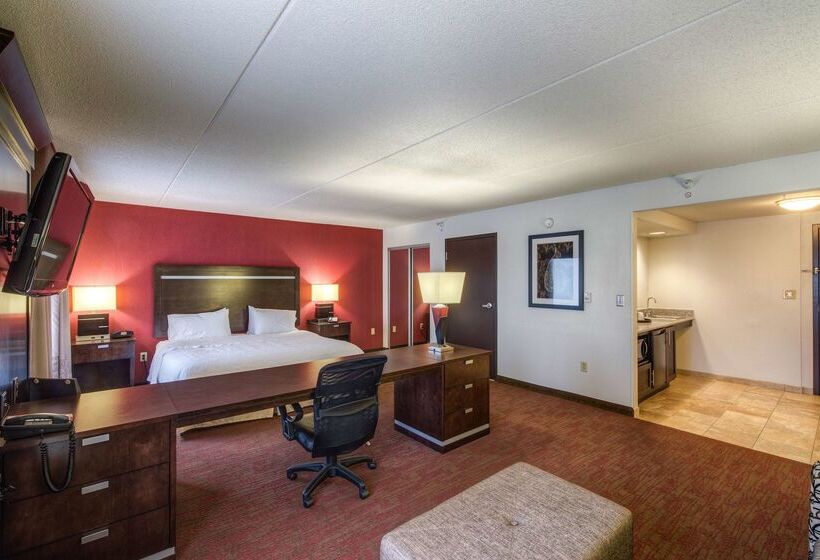 Hampton Inn And Suites Detroit Airport Romulus