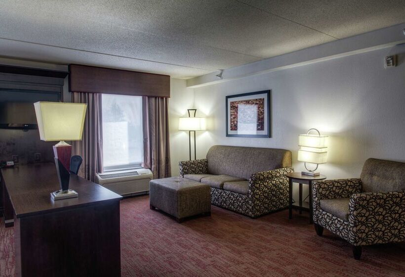 Hampton Inn And Suites Detroit Airport Romulus