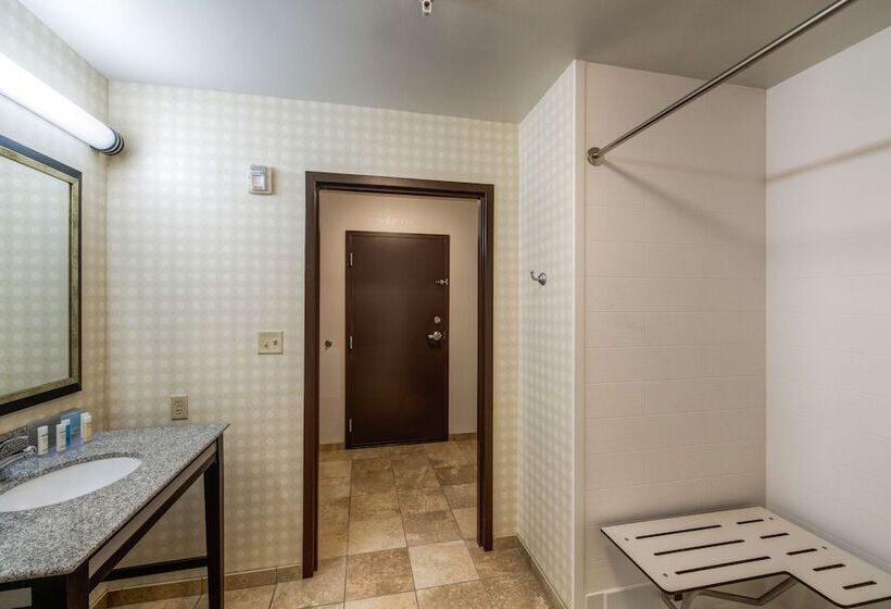 Hampton Inn & Suites Detroit / Airport   Romulus