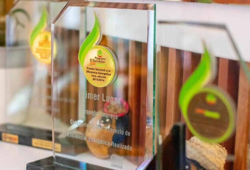 árbol De Fuego Eco Hotel, A Green Experience In The City