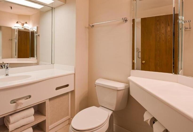 هتل Best Western Galena Inn & Suites