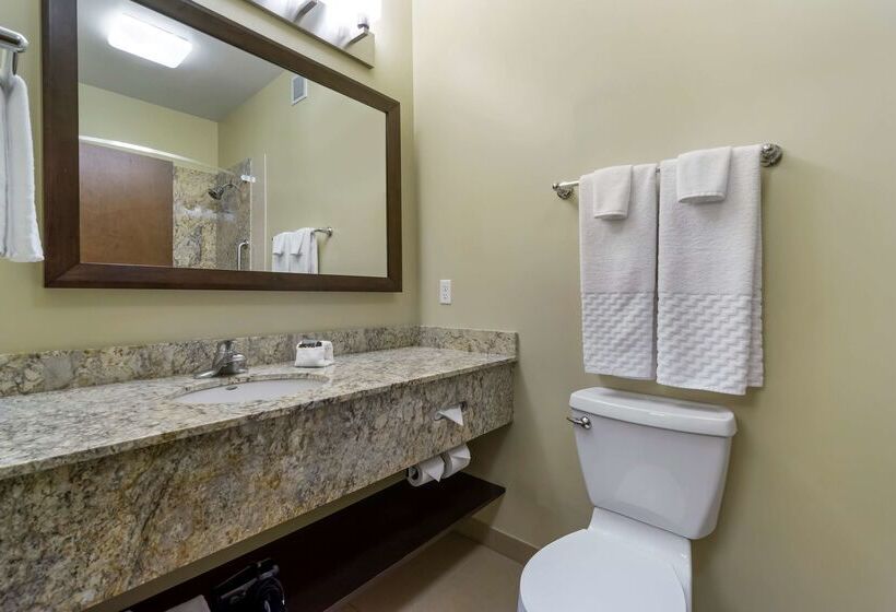 فندق Best Western Plus Lacey Inn & Suites