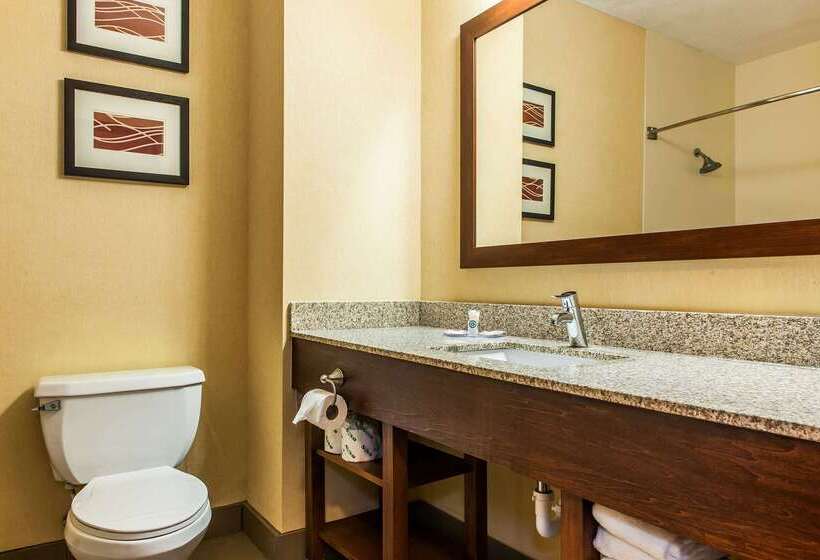 호텔 Comfort Inn
