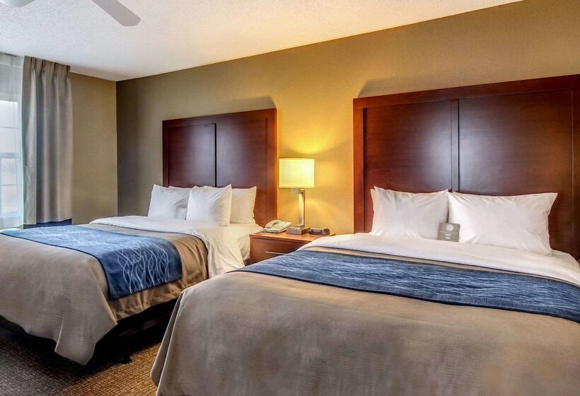 Отель Comfort Inn & Suites Graftoncedarburg