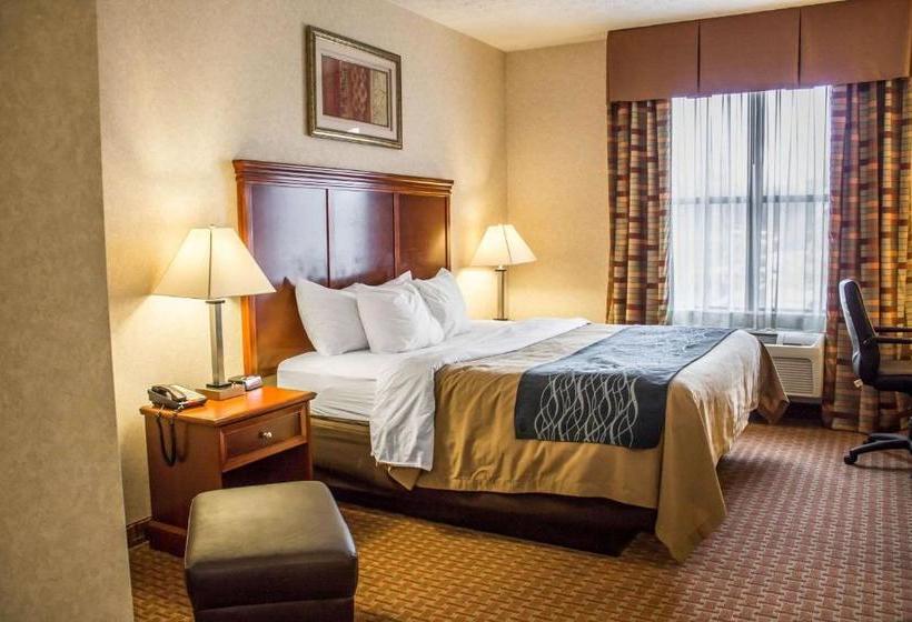 ホテル Comfort Inn & Suites Kent  University Area
