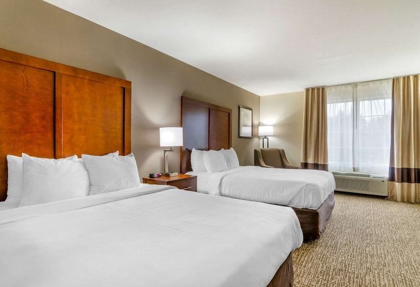 Отель Comfort Inn & Suites Near Bethel College
