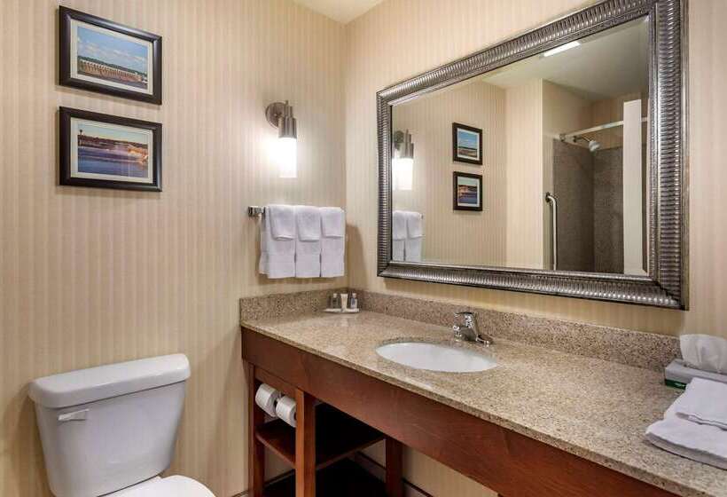 בית מלון כפרי Comfort Suites Florence Shoals Area