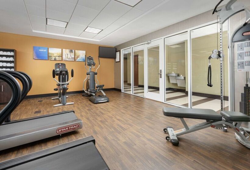 בית מלון כפרי Comfort Suites Lake City