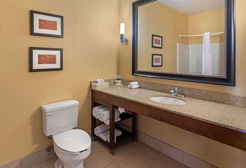 هتل Comfort Suites Mckinneyallen