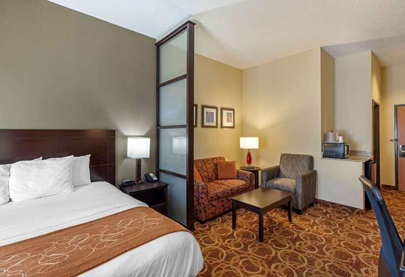 Hotel Comfort Suites Mckinneyallen