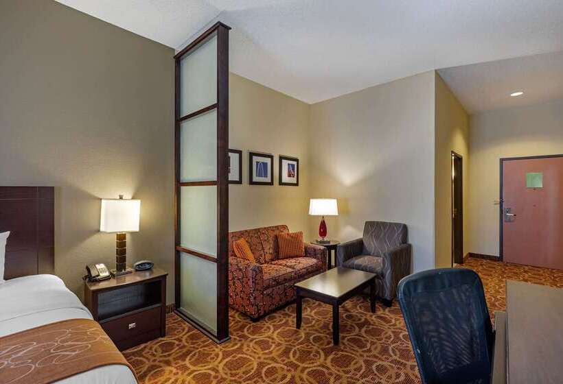 Hotel Comfort Suites Mckinneyallen