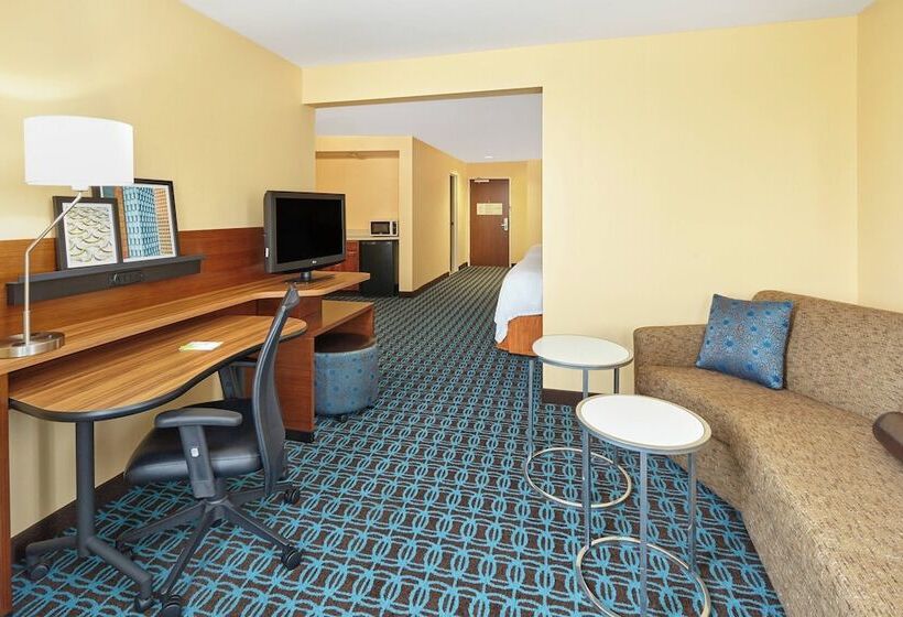 هتل Fairfield Inn & Suites Chicago Lombard