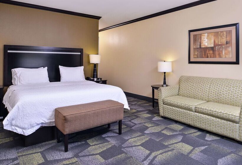 호텔 Hampton Inn & Suites Big Spring