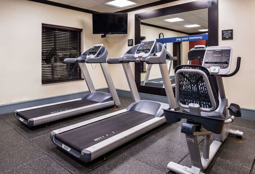 هتل Hampton Inn & Suites Big Spring